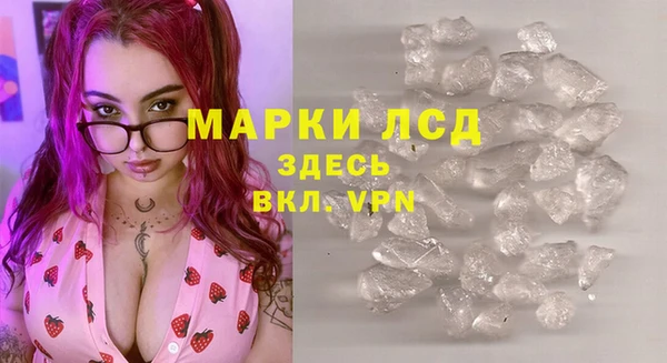 сатива Абаза