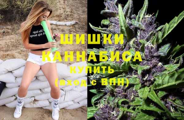 сатива Абаза