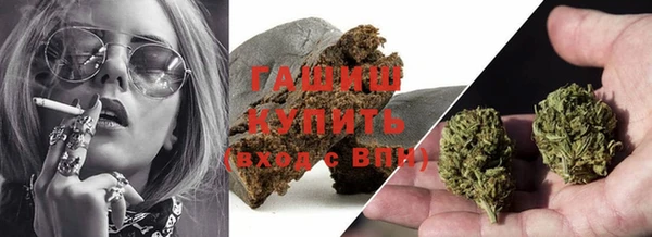 сатива Абаза